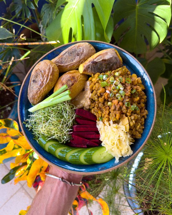 Green lentil stew with baked potatoes, sprouts, beetroot and sauerkraut.