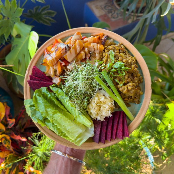 A plate of lentils with sprouts, sauerkraut, lettuce, beetroot and roasted vegetables, held in a garden.